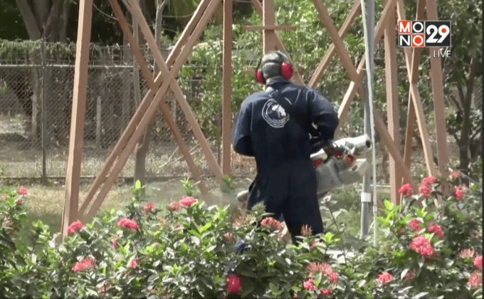 คอสตาริกาใช้แบคทีเรียพิชิตไวรัสซิกา