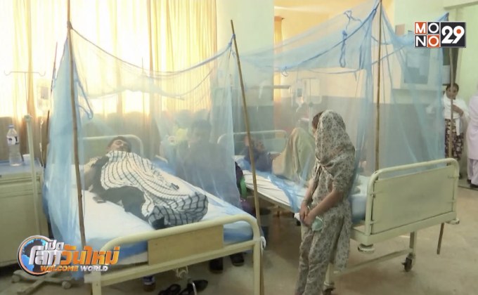 ปากีสถานไข้เลือดออกระบาดหนัก