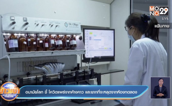 อนามัยโลก ชี้ โควิดแพร่จากค้างคาว และยากที่จะหลุดจากห้องทดลอง