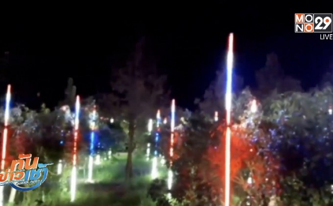 ติดไฟแสงสี แกล้งให้มะปรางออกดอก