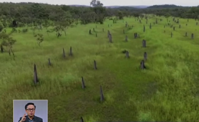 อุทยานแห่งชาติลิทช์ฟิลด์ในช่วงฤดูฝน