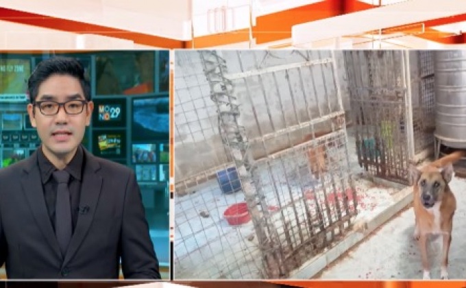 จนท.ช่วยสุนัขถูกขัง-กัดกินกันเอง จ.นนทบุรี