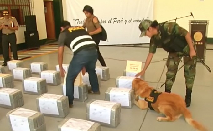 เปรูยึดโคเคนกว่า 1,000 กิโลกรัม