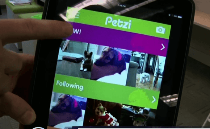 อุปกรณ์ไฮเทคสำหรับสัตว์เลี้ยง