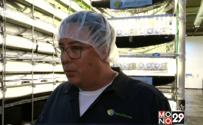 สวนผักแนวดิ่งขนาดใหญ่ที่สุดในโลก