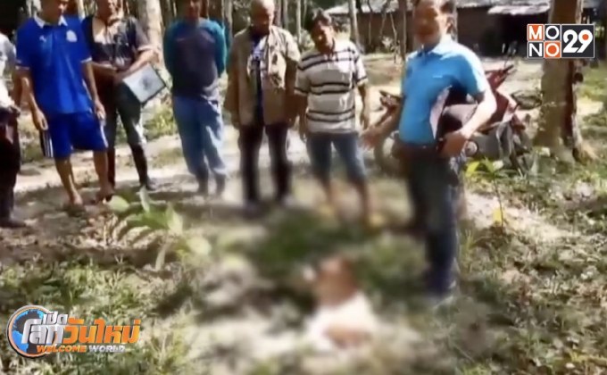 เร่งยับยั้งการแพร่ระบาดโรคปาก-เท้าเปื่อยในสัตว์กีบ