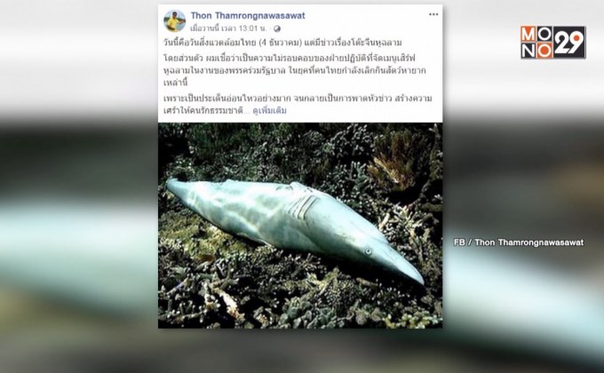 อ.ธรณ์ หนุนหยุดเมนูหูฉลามในงานเลี้ยง