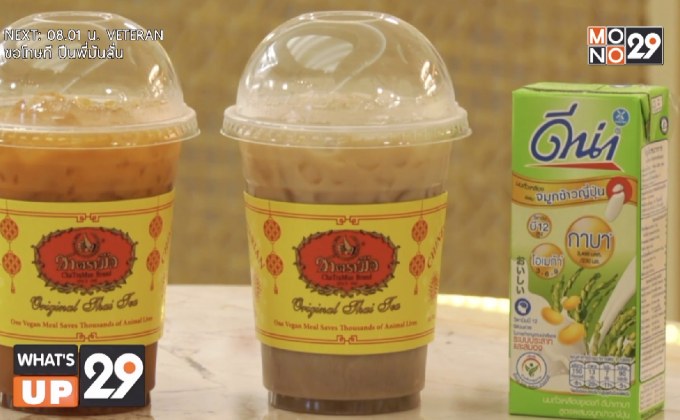 ดีน่า x ชาตรามือ