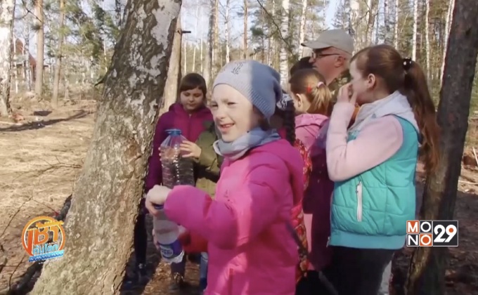 “น้ำต้นเบิร์ช” เทรนด์เครื่องดื่มสุขภาพรัสเซีย