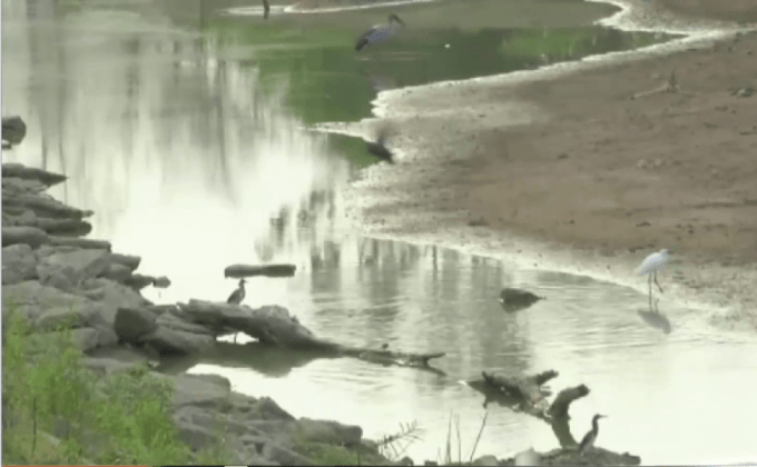 แม่น้ำยม จ.พิจิตร แห้งขอดนาน 6 เดือน