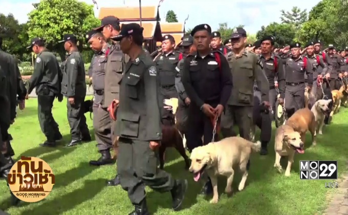 ตั้งกองทุนสวัสดิการช่วยสุนัขตำรวจหลังเกษียณ