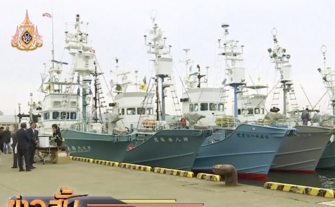 ญี่ปุ่นเริ่มต้นส่งเรือประมงออกล่าวาฬในเชิงพาณิชย์