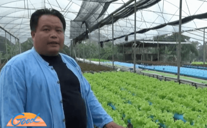 หนุ่มเชียงใหม่พลิกที่นาปลูกผักไฮโดรโพนิก สร้างรายได้งาม
