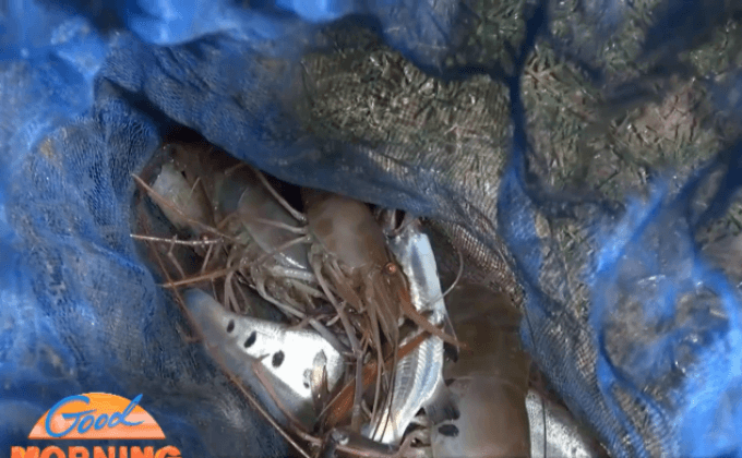 ชาวมหาสารคามจับกุ้งหาปลา สร้างรายได้ช่วงน้ำล้น