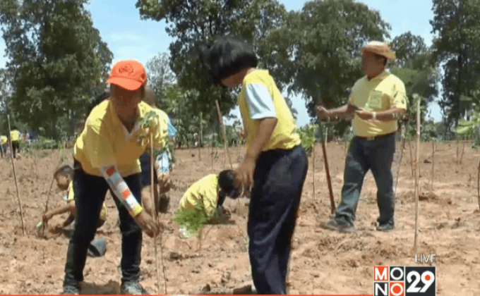 ชาวไทยพร้อมใจทำความดีถวายในหลวง