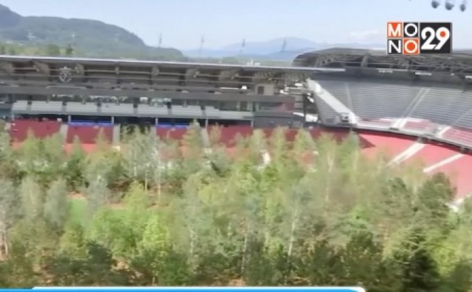 ศิลปินสวิสย้ายป่ามาไว้ในสนามฟุตบอล