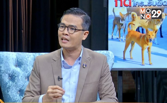 The Morning ไขคำตอบสุนัขจรจัดกัด ใครรับผิดชอบ ?