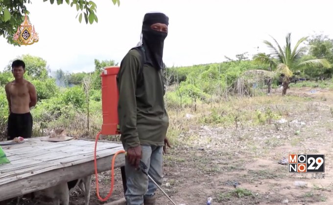 ไบโอไทย เรียกร้องรัฐบาลใหม่ทบทวนนำเข้ายาฆ่าหญ้า