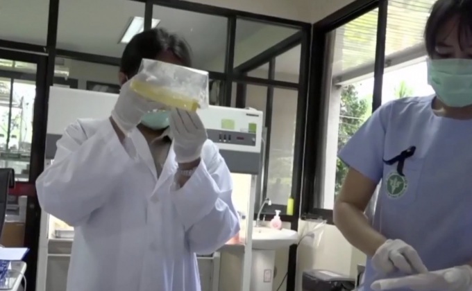 ออกหมายเรียกนักศึกษาแพทย์สัปดาห์หน้า