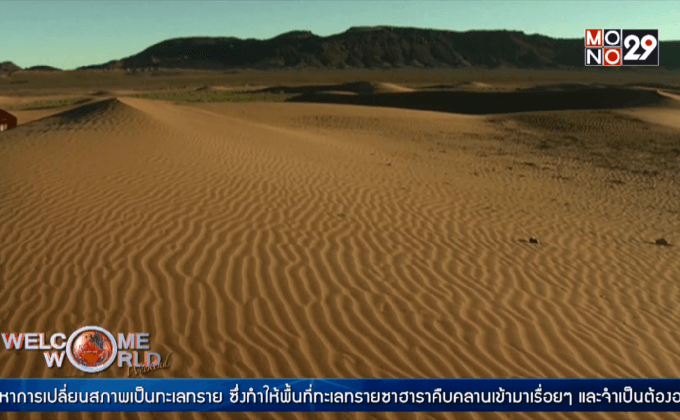 ฟื้นทะเลทรายให้กลายเป็นป่า