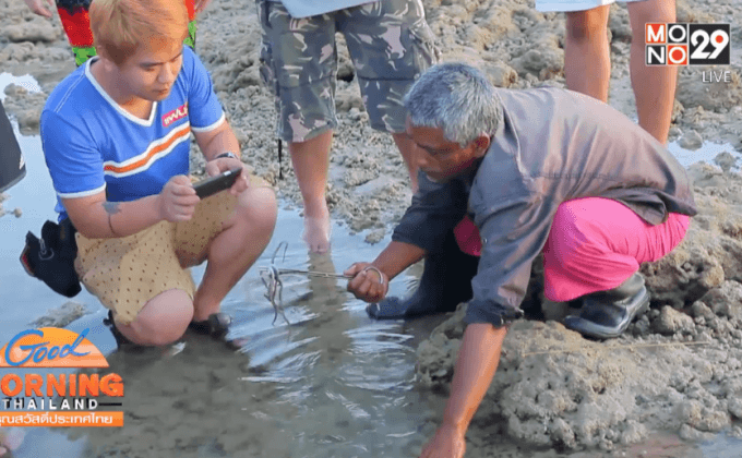 แทงโวยวาย อาชีพแปลกที่หาดูยาก