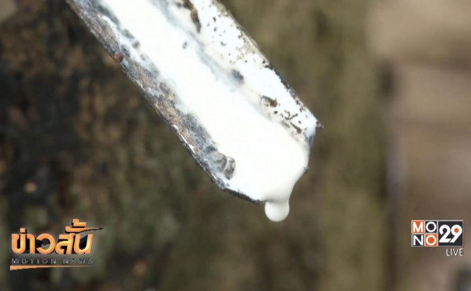 นายกฯ พอใจ ราคายางสูงขึ้น ชี้ผลจากนโยบายทำถนน