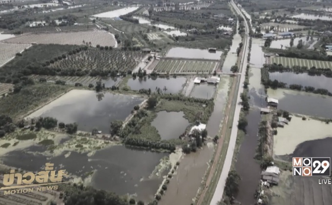 เร่งระบายน้ำท่วมแปลงผักก่อนเทศกาลกินเจ