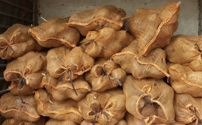 เตรียมขึ้นบัญชีดำบริษัทนำเข้ามะพร้าว 10 ราย