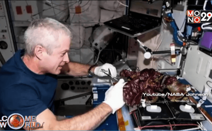 ลูกเรือ ISS ปลูกผักบนอวกาศ