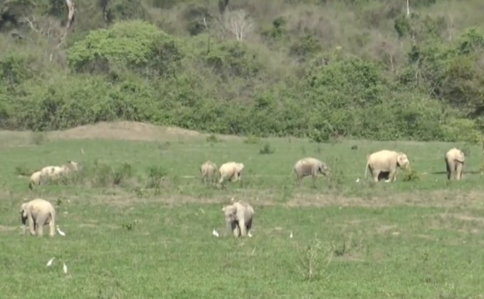 เปิดภาพป่ากุยบุรี หลังปิดเพราะโควิด-19 กว่า 1 เดือน