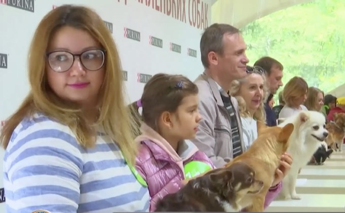 งานถ่ายภาพสุนัขพันธุ์เล็กทุบสถิติโลก