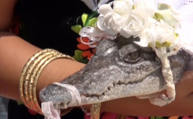 นายกเทศมนตรีเม็กซิโกแต่งงานกับจระเข้