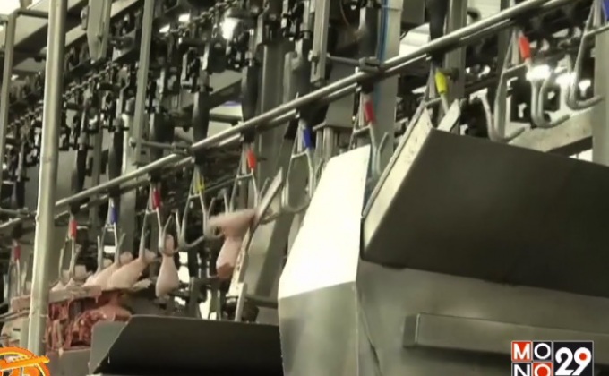 บราซิลลงพื้นที่ตรวจโรงงานแก้ปัญหาเนื้อเน่า