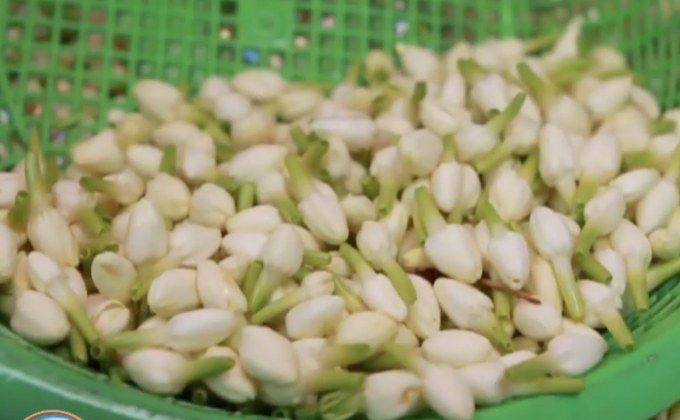 ดอกมะลิแพงรับวันแม่