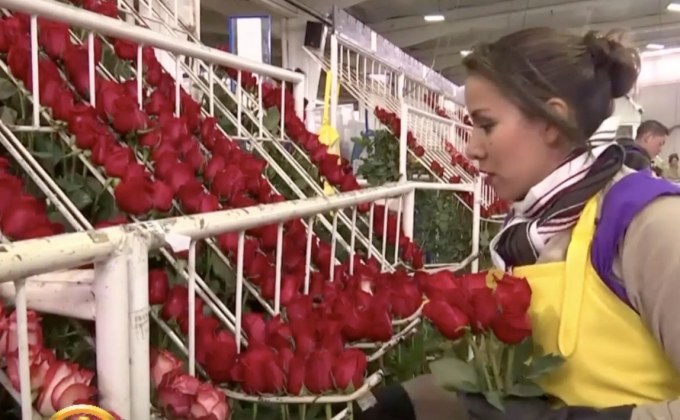 “วาเลนไทน์ 2019” ต้นทุนความรักมีค่าเท่าไร