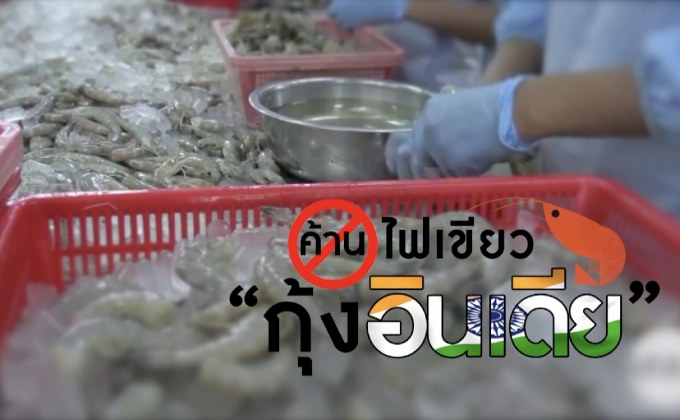 คุยครบกับพบเอก : ค้านไฟเขียว ‘กุ้งอินเดีย’