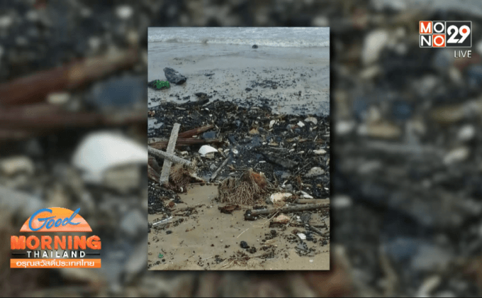 พบคราบน้ำมันจำนวนมาก บนชายหาดนครศรีฯ