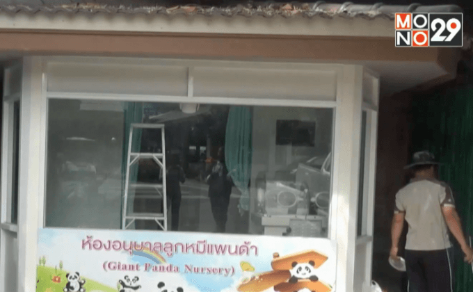 พี่เลี้ยงตกแต่งห้องอนุบาลเตรียมรับแพนด้าน้อยแล้ว
