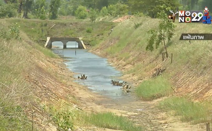 แล้งกระทบพื้นที่เพาะปลูก 2.67 ล้านไร่