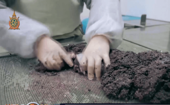 คาเวียร์เริ่มกลับมาได้รับความนิยมอีกครั้ง