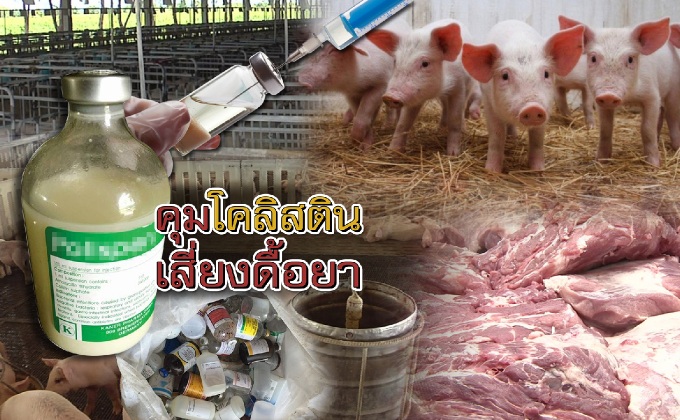 คุมโคลิสติน..เสี่ยงดื้อยา