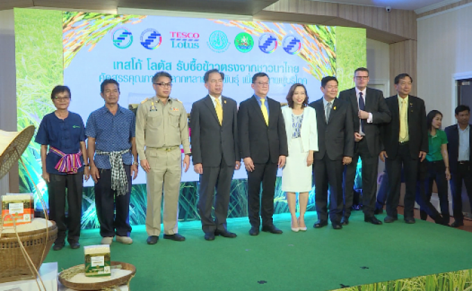“เทสโก้ โลตัส” ซื้อข้าว 9 พันตัน ช่วยชาวนาไทย