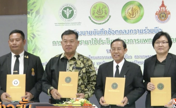 เดินหน้าปลูกกัญชา เริ่มปลูก 18 มิ.ย.นี้