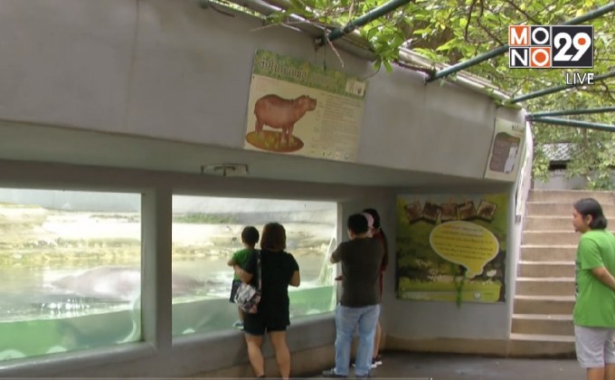 สวนสัตว์ดุสิต ประกาศขยายเวลาเปิดถึง 30 ก.ย.61