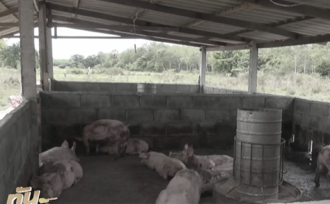 ตรวจสอบโครงการ 9101 จ.สงขลา