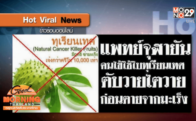 แพทย์จุฬาฯ ย้ำใบทุเรียนเทศรักษามะเร็งไม่ได้