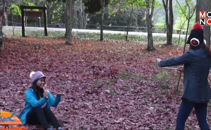 นักท่องเที่ยวแห่ชมใบเมเปิ้ลสีแดงสด ที่ภูหินร่องกล้า