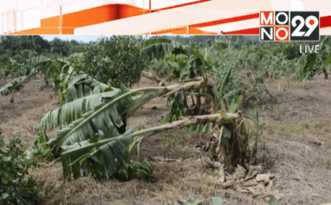 ช่วยเหลือผู้ประสบภัยพายุ จ.แพร่