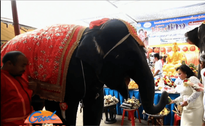 ชมรมเจฯ จัดงานโต๊ะเจช้างครั้งแรกของโลก