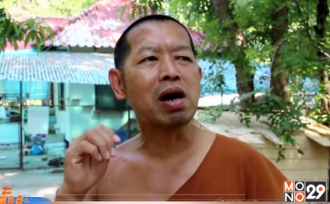 แมวพันธุ์เปอร์เซียเจ้าอาวาสหายได้คืนแล้วที่โคราช